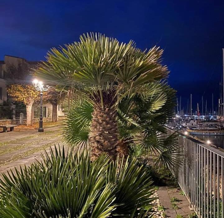 Arco Antico Apartment Alghero Exterior photo